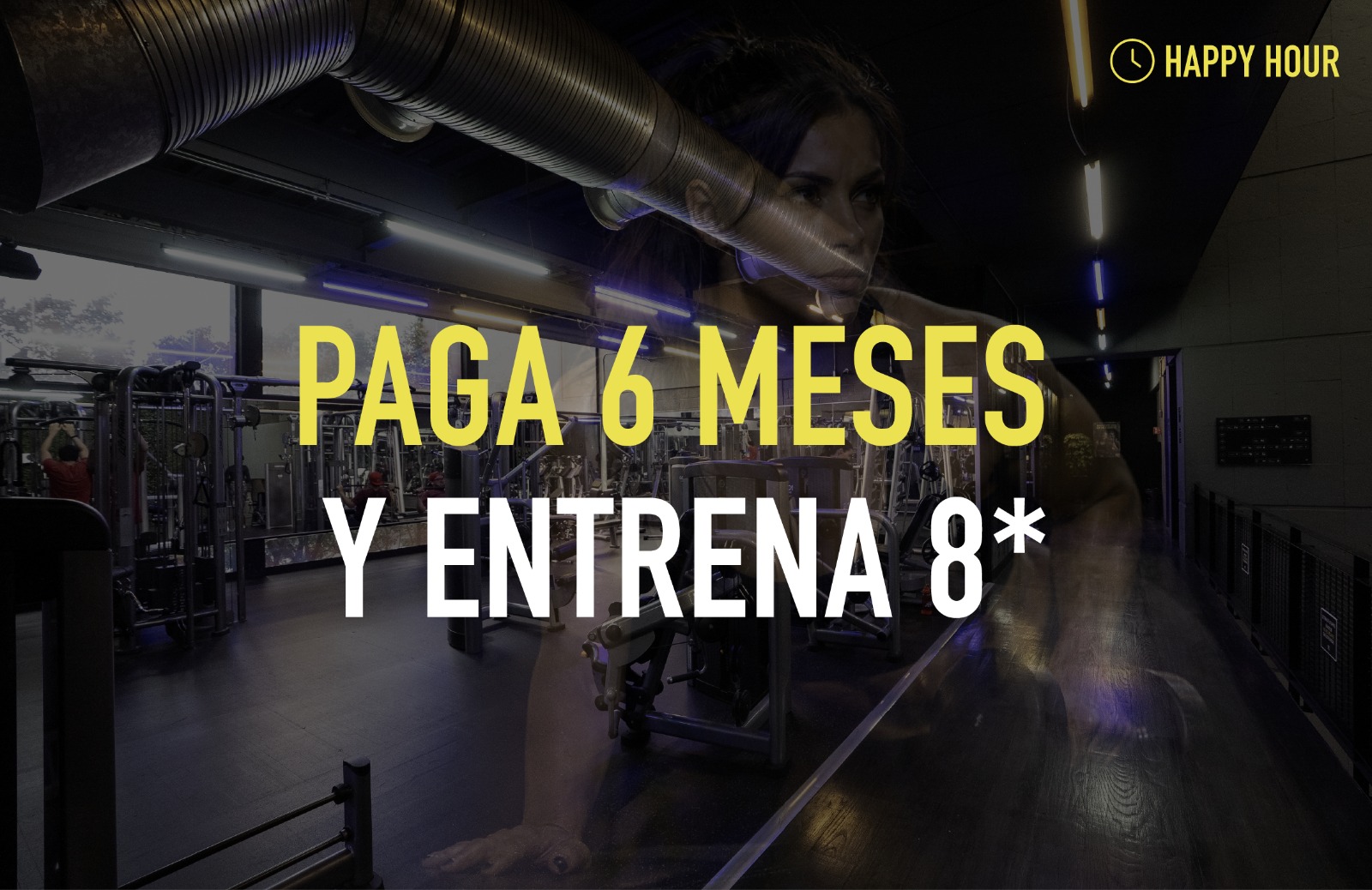 -Semestre limitado 8x6 -ONLINE 2026